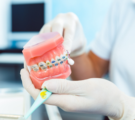 dentista con mandíbula de muestra